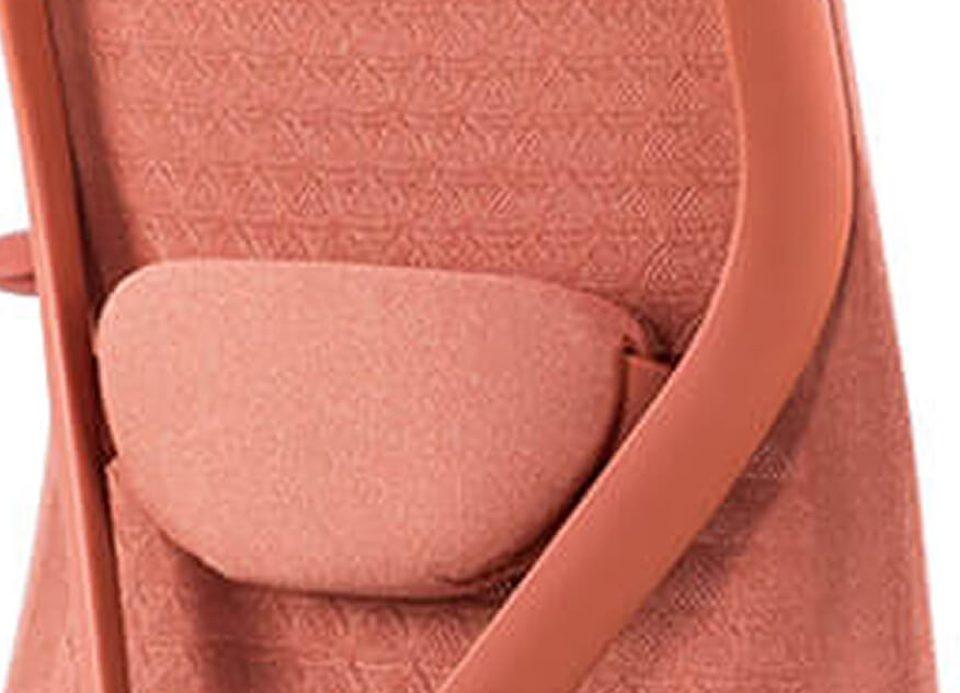 Ergonomic Back Support